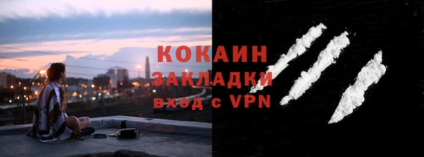 ГАЛЛЮЦИНОГЕННЫЕ ГРИБЫ Балабаново