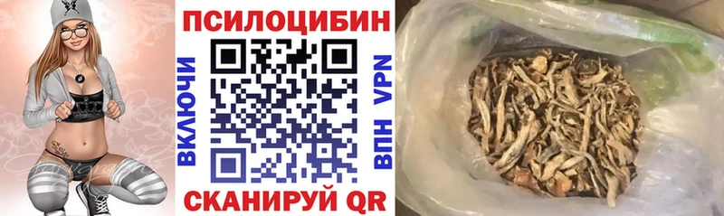 Купить где  Боровск  Галлюциногенные грибы GOLDEN TEACHER 